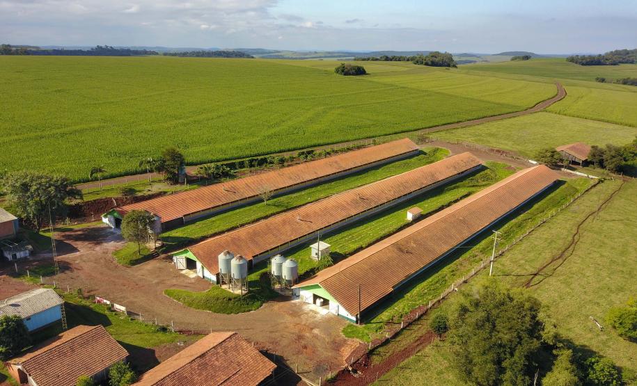 Com Descomplica, Paraná avança na desburocratização dos serviços públicos em diversas áreas